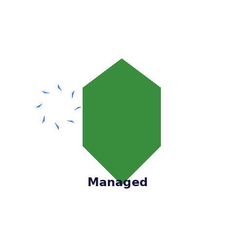 Managed-WordPress-Hosting-Support